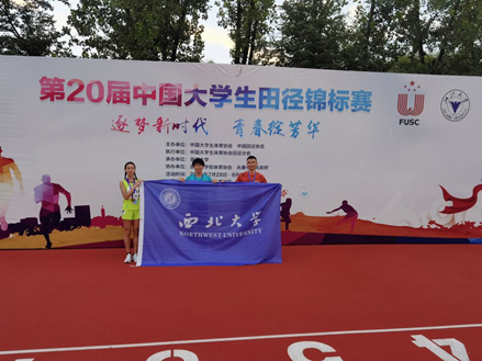 飞速体育平台