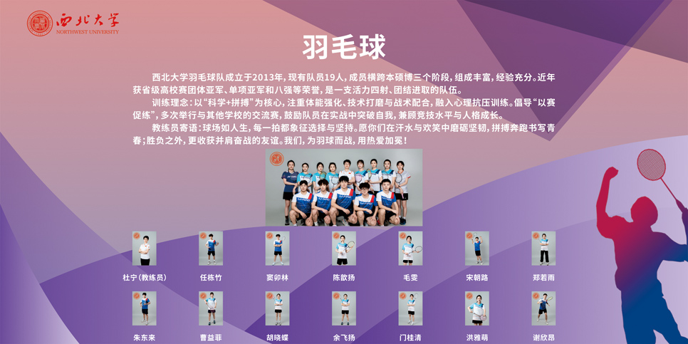 飞速体育手机版