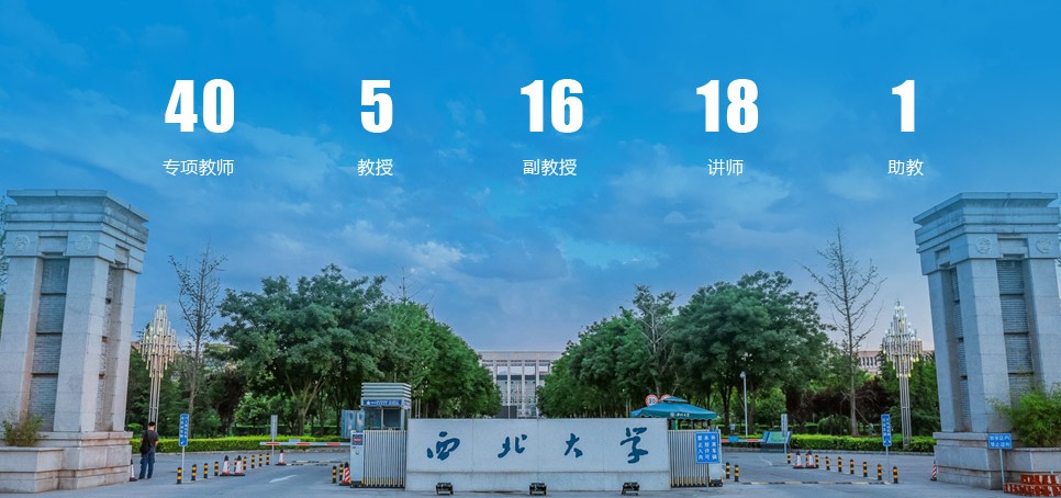飞速体育客户端图片