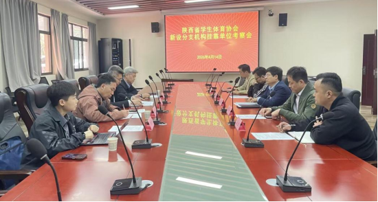 飞速体育加速节点图片